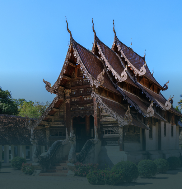 Promotions & Bonuses